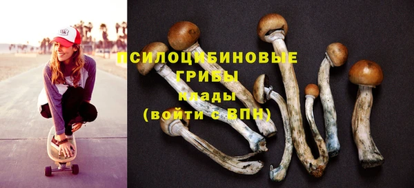 apvp Алексеевка
