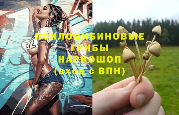 apvp Алексеевка